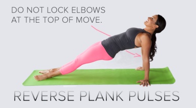 Reverse-Plank-Pulses1